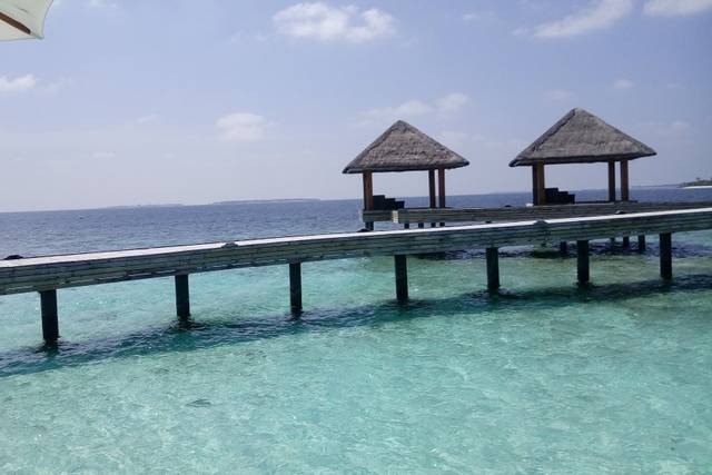 Indigo Tour Operator 2