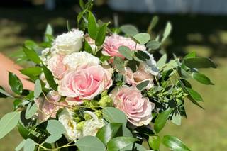 La Viola... e il Pensiero - 13