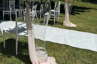 La Viola... e il Pensiero - 14