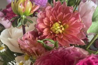 Decor Wedding - 11