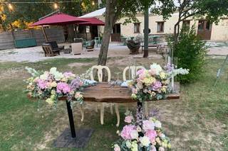 La Primula - 8