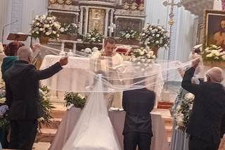 L'Orchidea di Cammalleri Daniela & Co. - 6