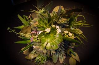 Fioreria La Coccinella - 12