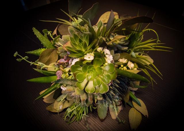 Fioreria La Coccinella - 4