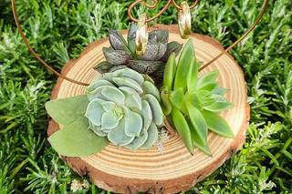 Fioreria La Coccinella - 14