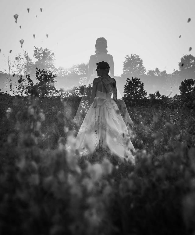 Moko Photography - 2