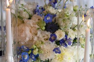Bluemilia - 5
