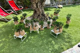 Haroma Events - 8