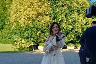 Oh my dog wedding - 8