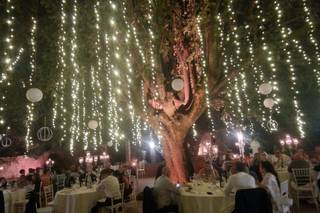 Everglades Musica e Animazione - 10