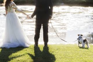 Oh my dog wedding - 9