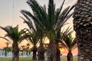 Grand Palladium Sicilia Resort & Spa - 16