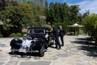 Classic Cars - 12