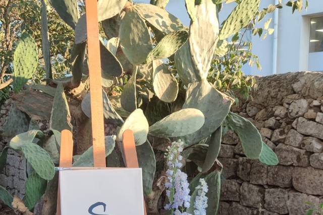 Luisa Mascolino - Wedding & Event Services 2