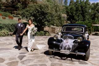 Classic Cars - 13