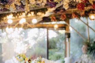 Agriturismo Fattoria Terranova - 5