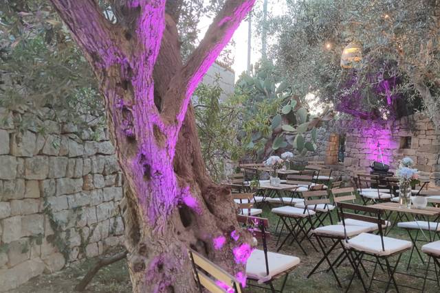 Luisa Mascolino - Wedding & Event Services 3
