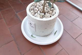 Paola Rolando Creazioni - 6