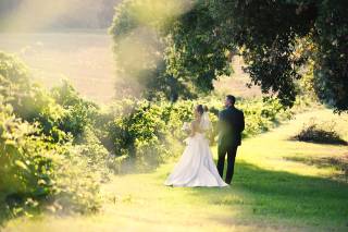 Tenuta Marchesi Fezia - 14