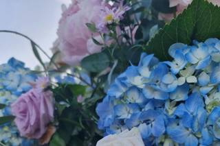 Di Rosa Floral Designer - 9