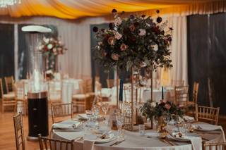 Eventi La Fenice di Mike Palermo - 17