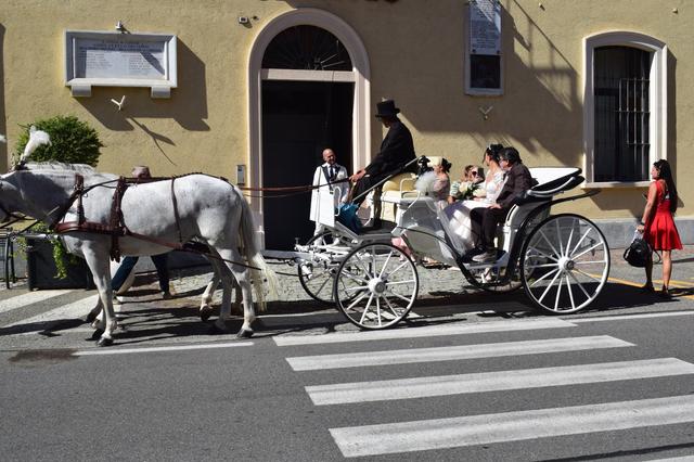 White Horse - 3