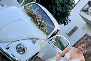 Vintage car Calabria - 7