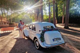 Trinacria Wedding Car - 22