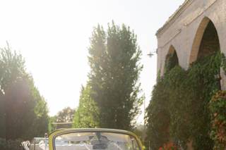 Linda - Maggiolino Cabrio - 6