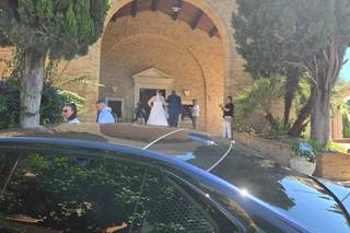 D'Aloisio Noleggi - 12