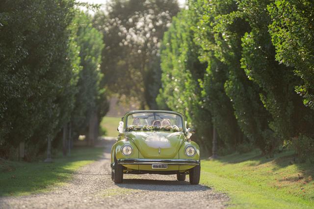 Linda - Maggiolino Cabrio - 4