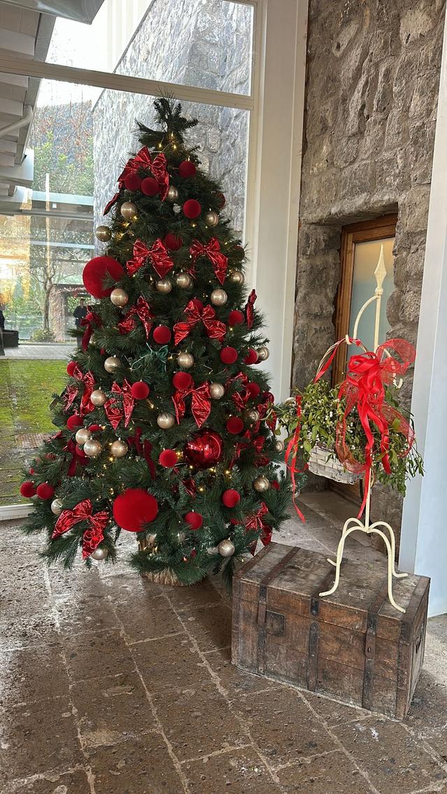 Villa Paolina - 4