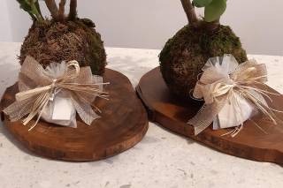 Complementari per Natura - 5