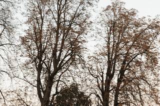 D'Amore Fotografie - 10