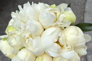 Bottega dei fiori - 6