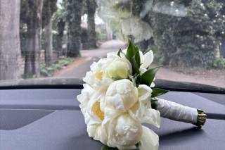 Bottega dei fiori - 7