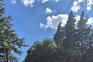 Zenzero Biocatering - 7