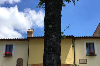 La Tenuta dei Ciclamini - 4