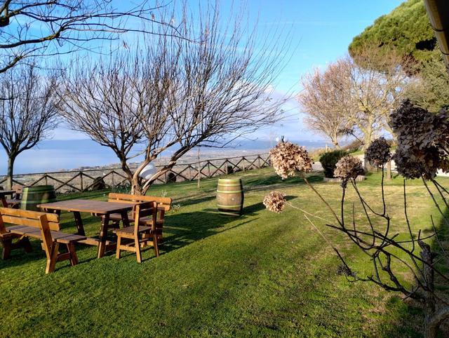 Tenuta Belvedere - 1