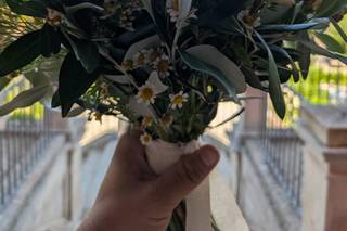 Garden Flowers - 25