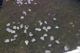 Ristorante Villa Pedrini - 20