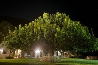 Masseria Rossella - 11