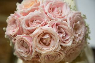 Daniel Laboratorio Floreale - 24