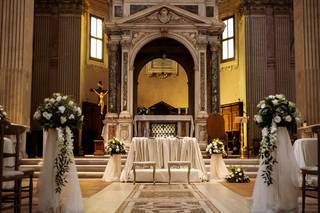 Edelweiss Flowers - 5