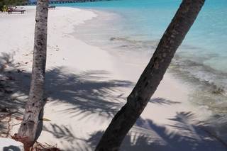 Vivi Vacanze Tour Operator - 15