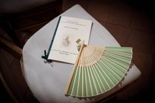 Edelweiss Flowers - 6