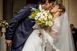 Edelweiss Flowers - 7