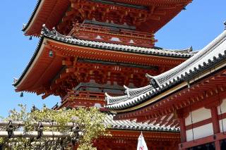Serengheti Travel - 15
