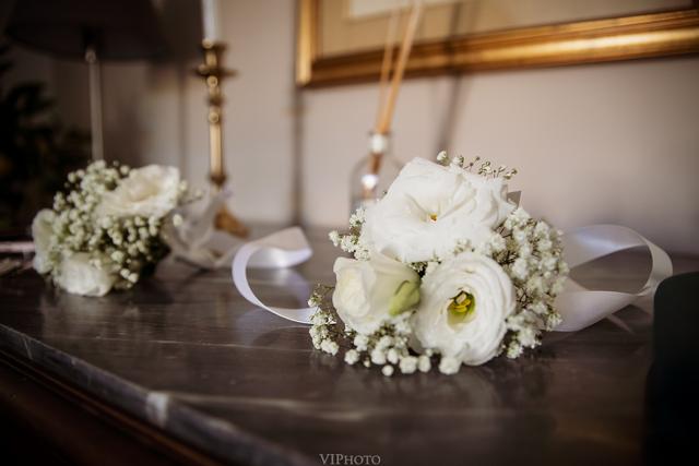Edelweiss Flowers - 3