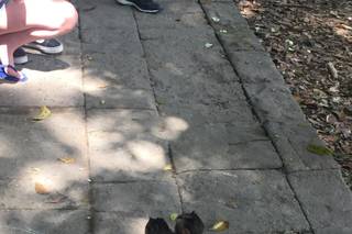 Astrid Sponghi Consulente per Viaggiare - 11